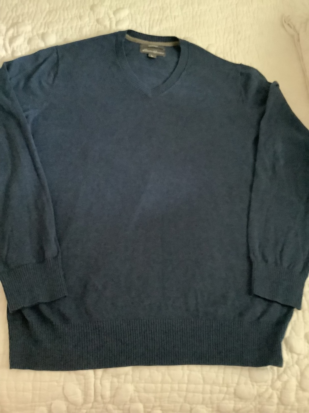 Eddie Bauer Men's V-Neck Sweater - blue